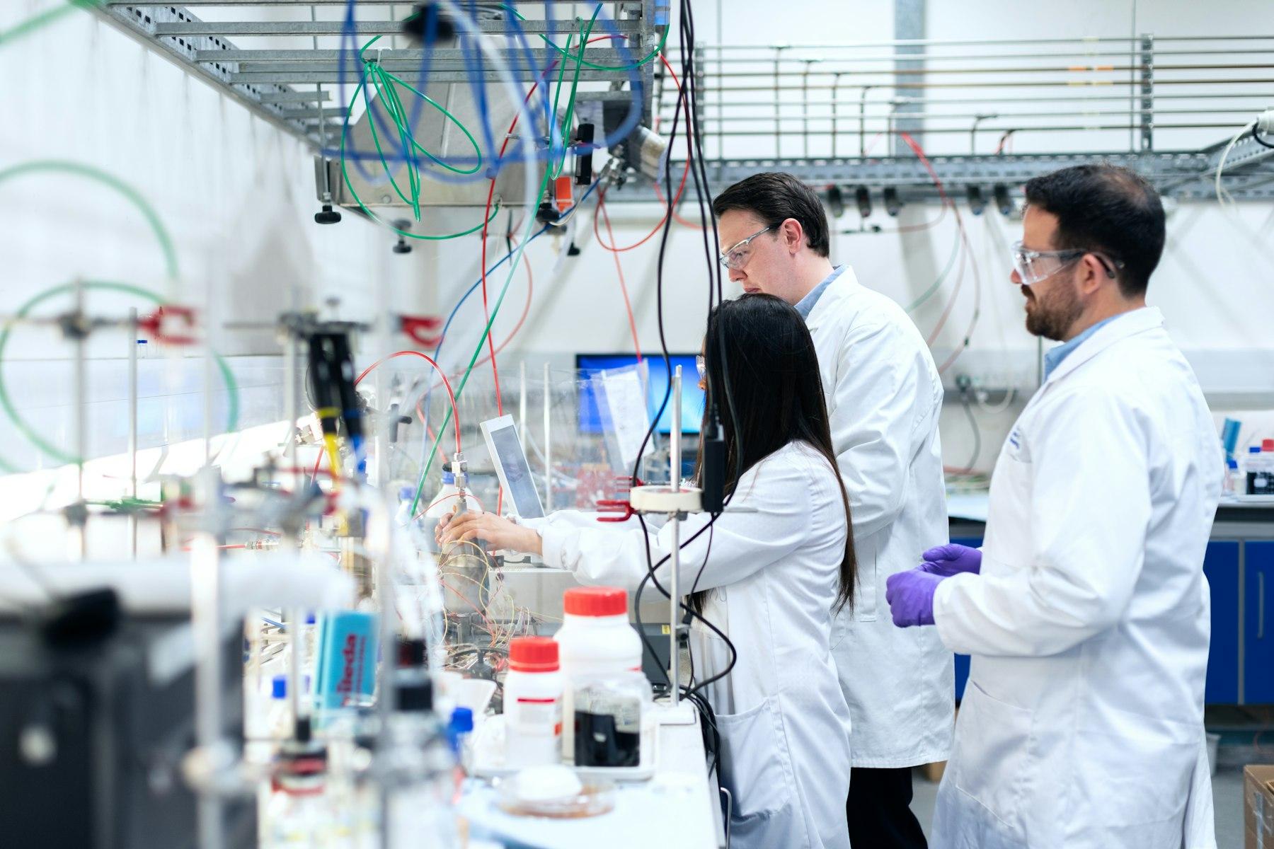 Consulting team reviewing laboratory quality records